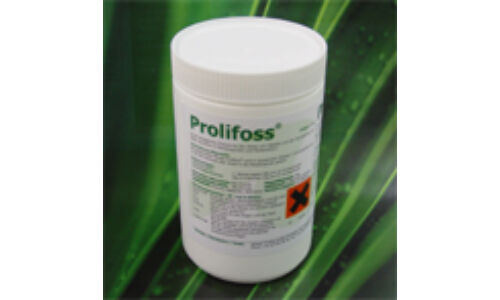 SANOSIL Prolifoss szennyvíztisztító biotermék por 1 kg 